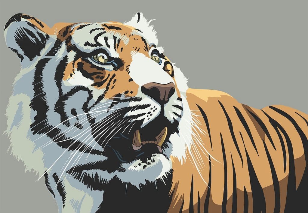 La personnalité du tigre